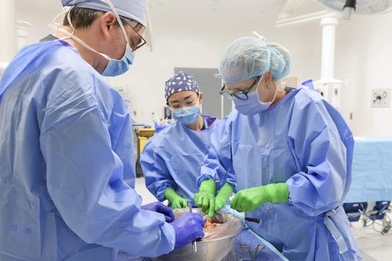 Trois professionnels de la santé qui manipulent un foie